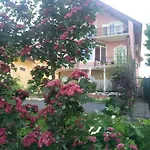 Manor Lejlighed
