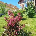 Manor Lejlighed *