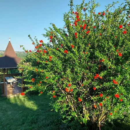 Lägenhet Manor Hévíz