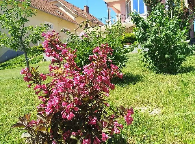 Manor Апартаменты *
