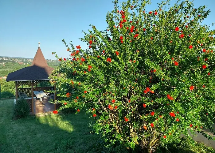 Apartamento Manor Hévíz