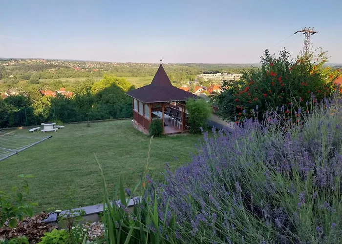 Manor Хевиз